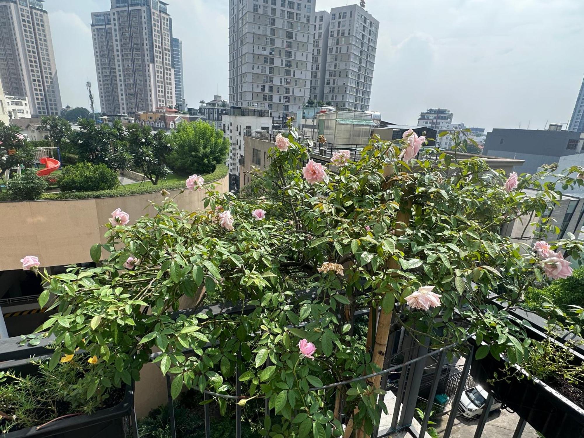 Homey Apartment Ho Chi Minh-stad Buitenkant foto